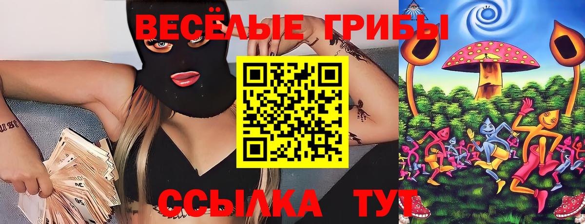Галлюциногенные грибы Psilocybine cubensis  Вход с VPN  Снежинск 