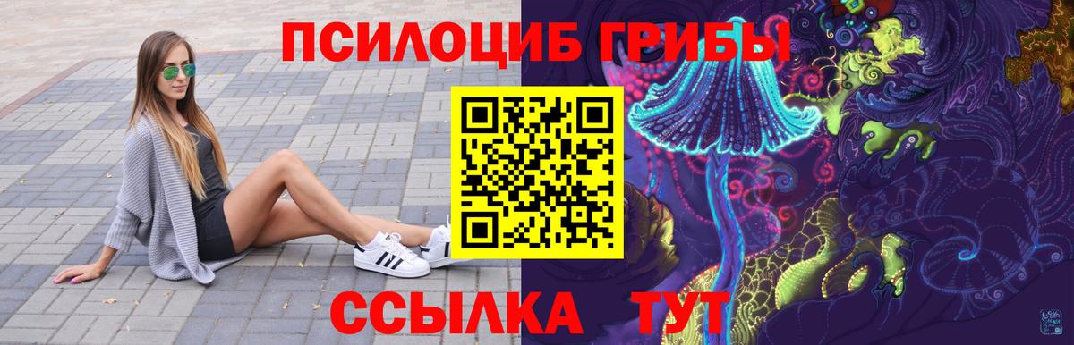 Галлюциногенные грибы Psilocybe Снежинск